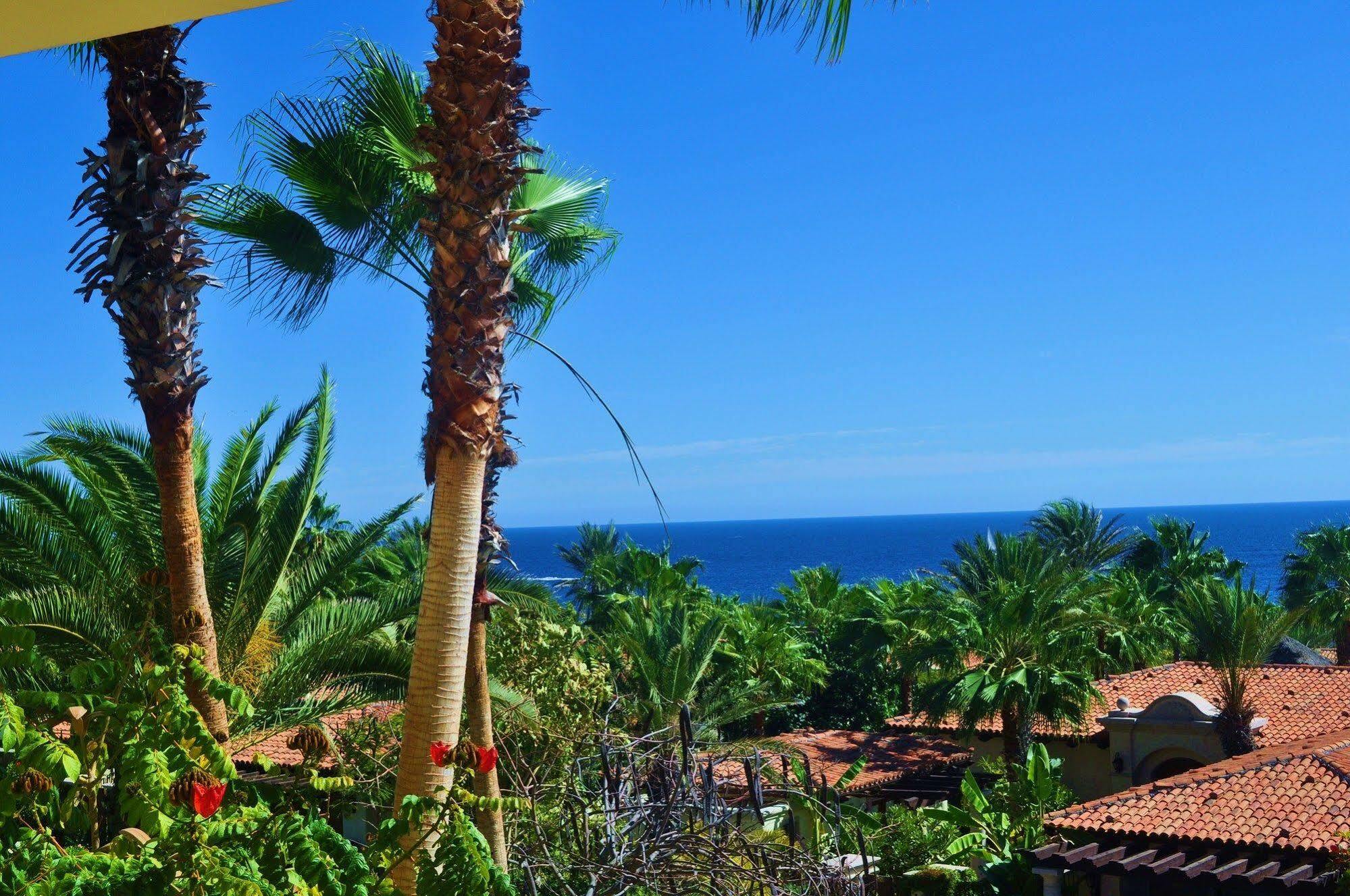 Villa Lucero Cabo San Lucas Eksteriør bilde